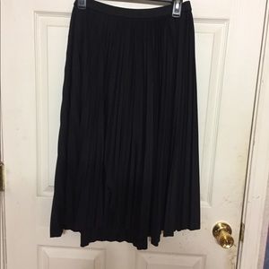Pleated Skirt
